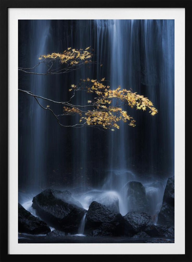 Yellow Autumn | Poster