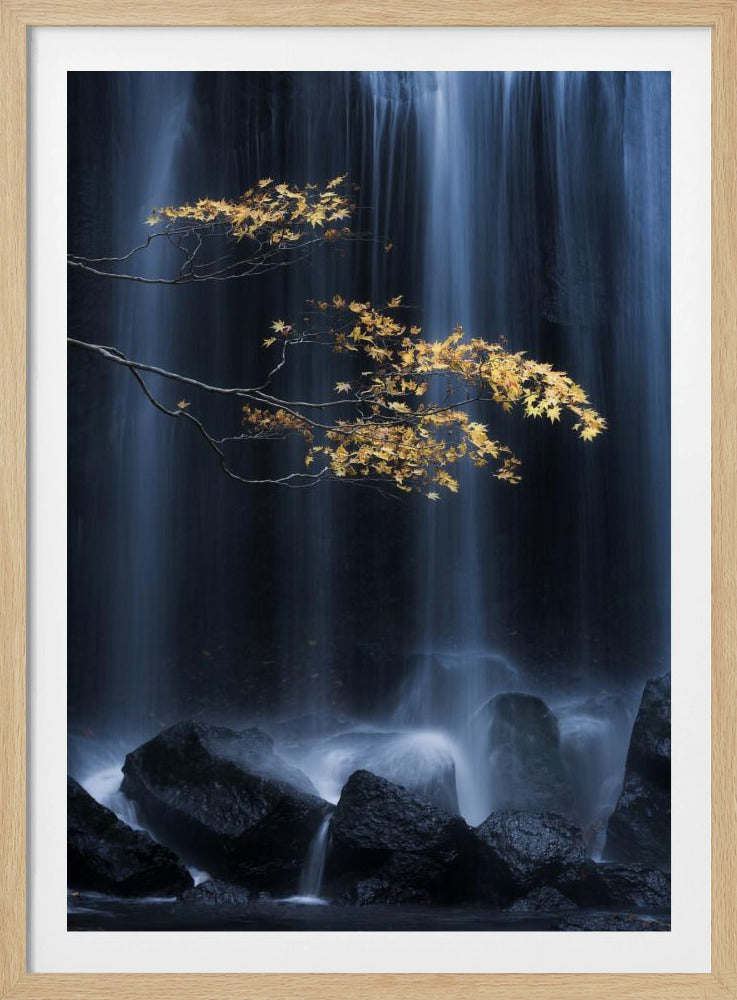 Yellow Autumn | Poster