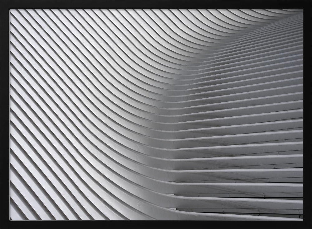Calatrava Curves # 2 | Poster