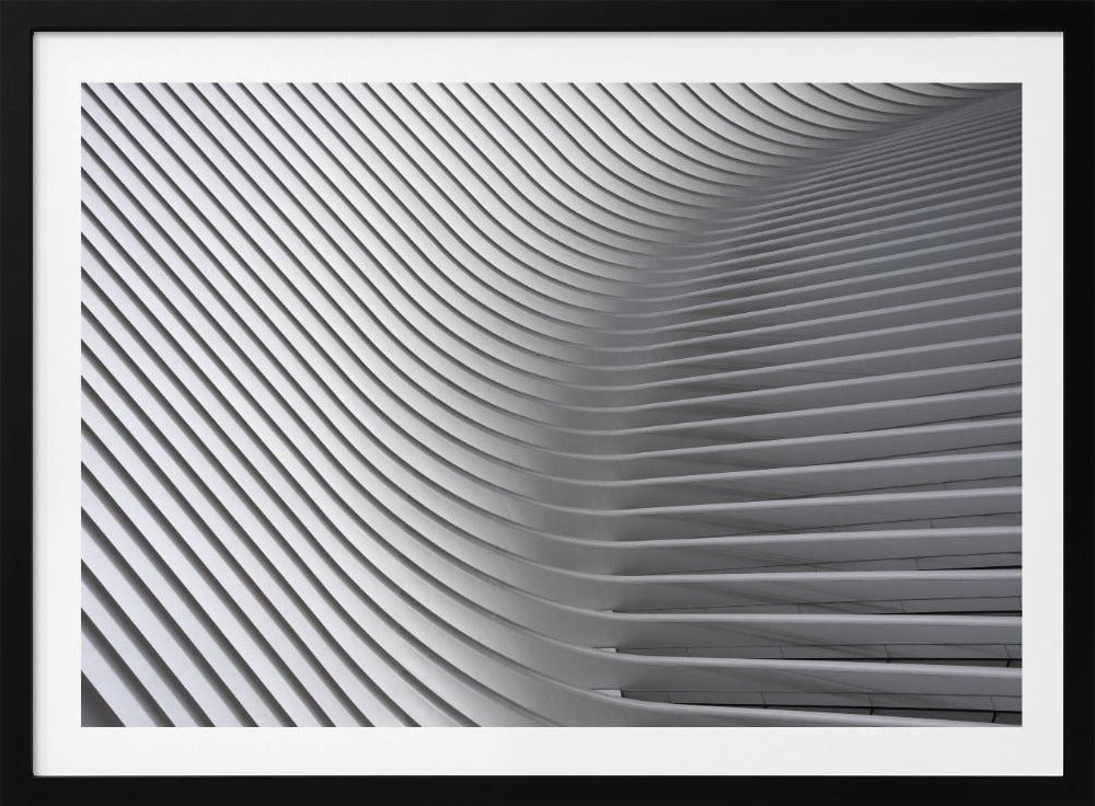 Calatrava Curves # 2 | Poster