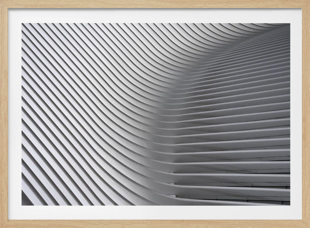 Calatrava Curves # 2 | Poster