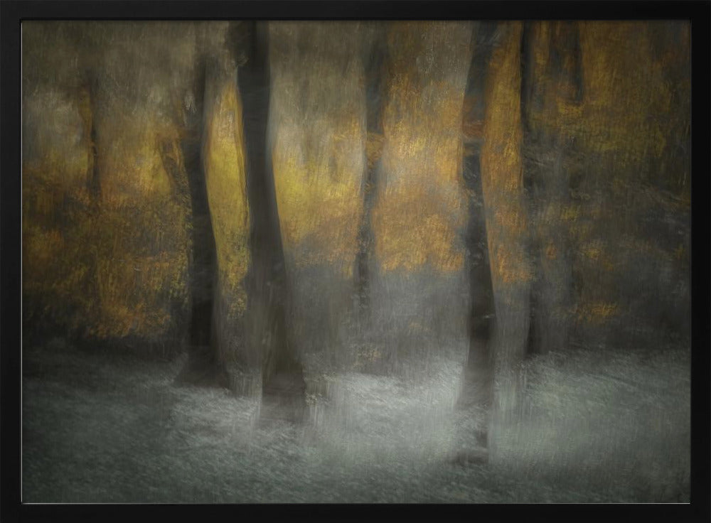 Dancing Trees | Poster