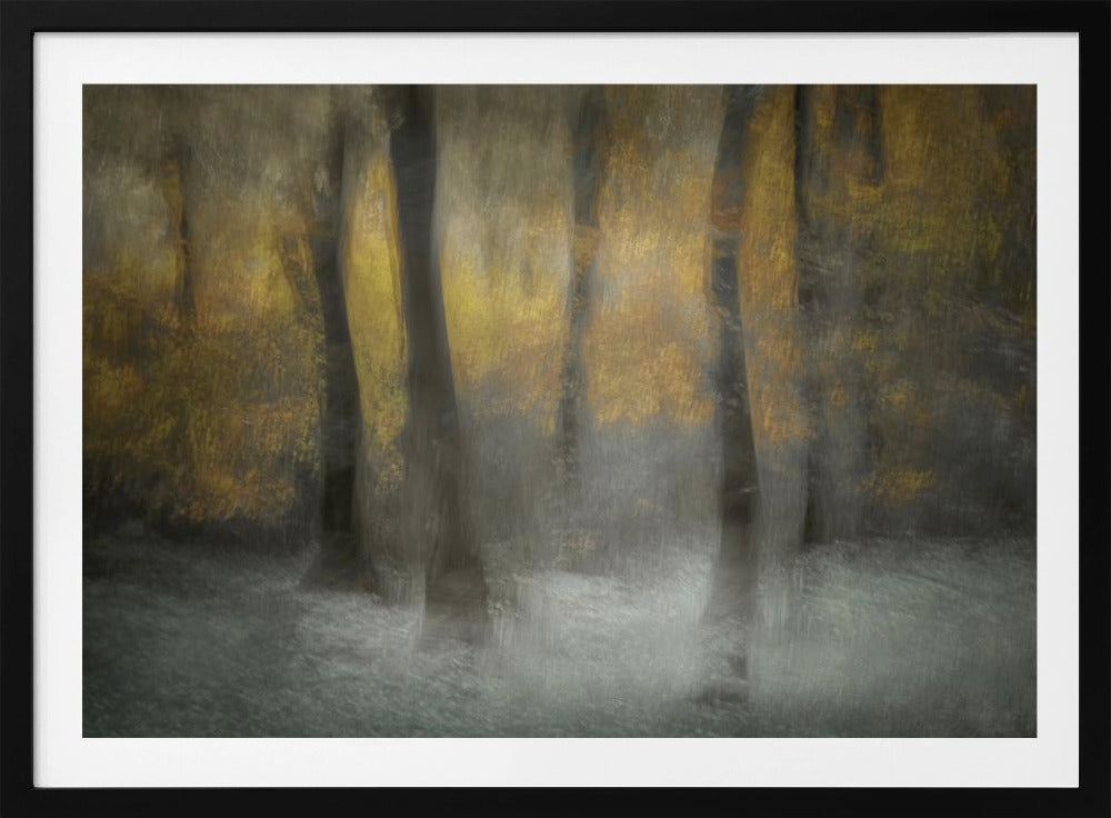 Dancing Trees | Poster