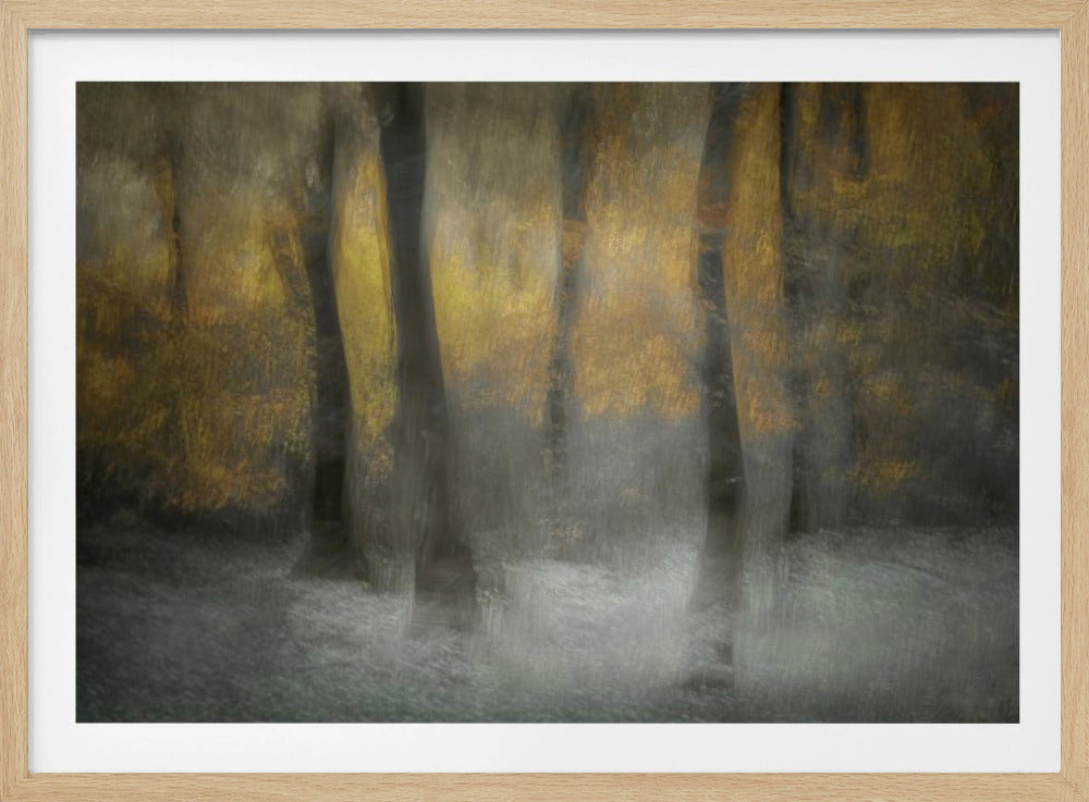 Dancing Trees | Poster