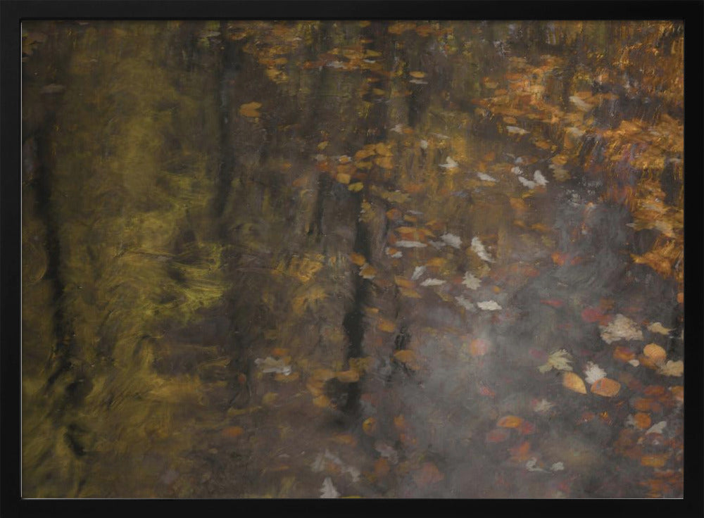 Autumn impression | Poster