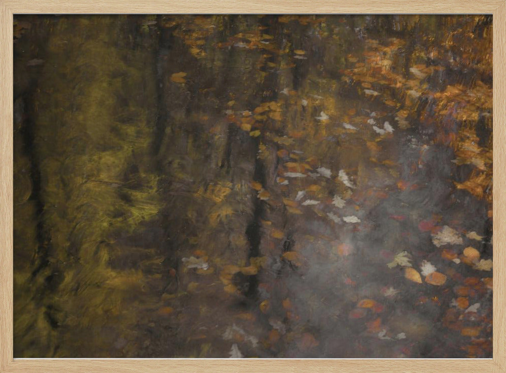 Autumn impression | Poster