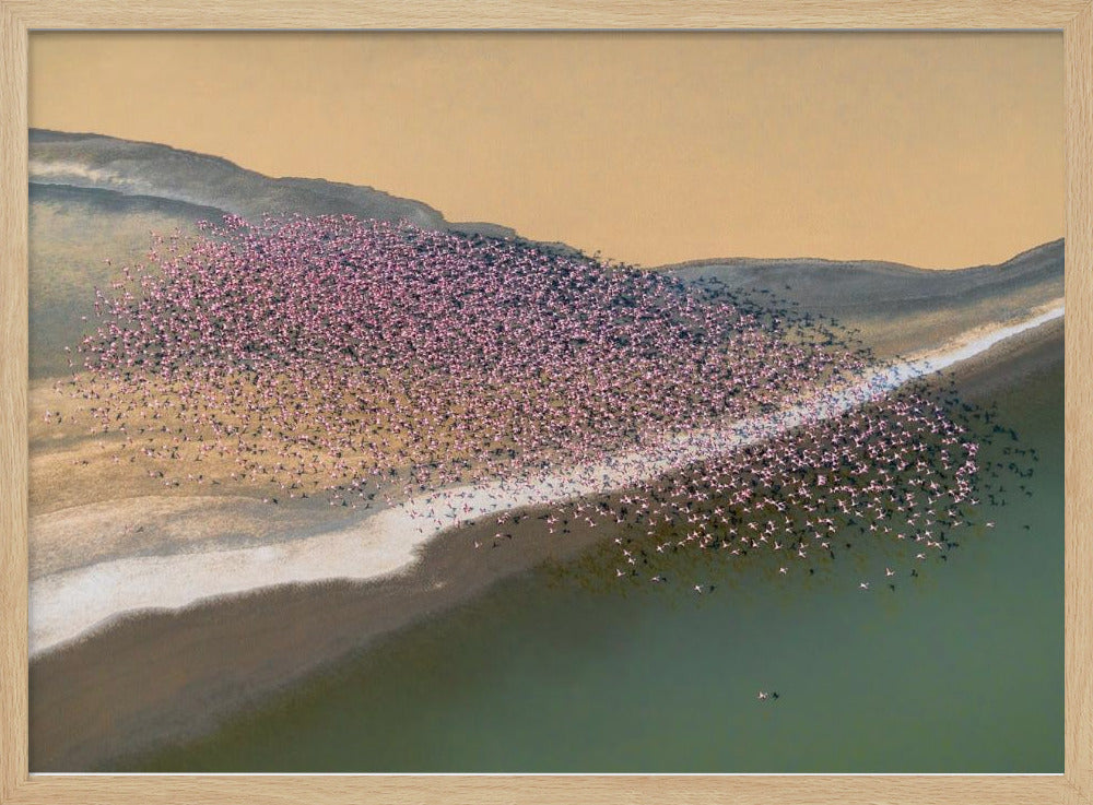 Gone with the Wind | Poster