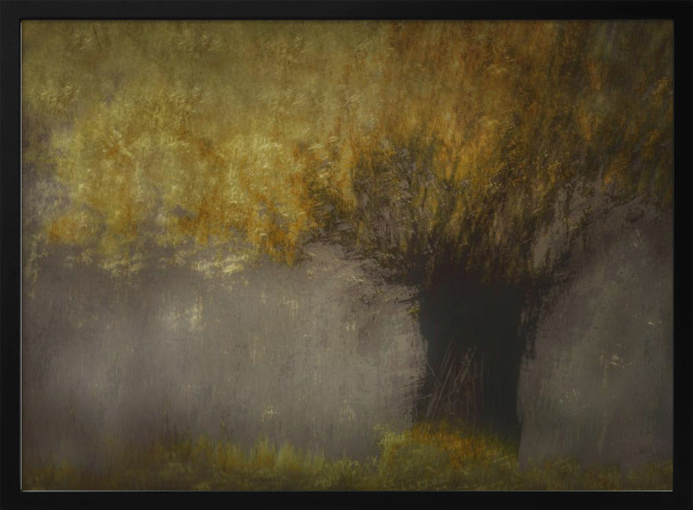 Pollard willow | Poster