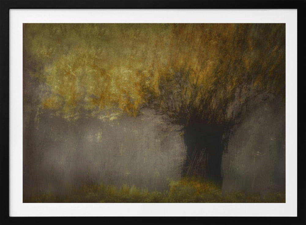 Pollard willow | Poster