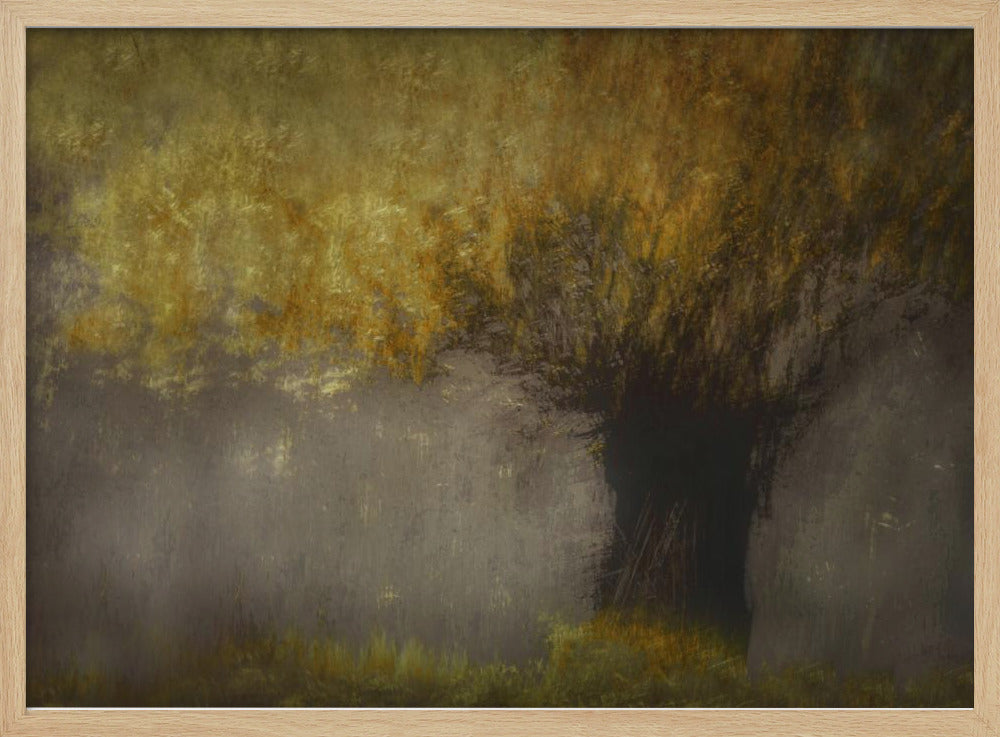 Pollard willow | Poster