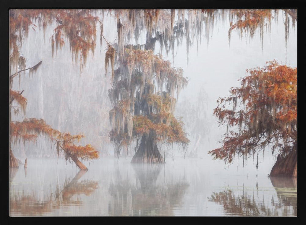 Mysty Bayou | Poster