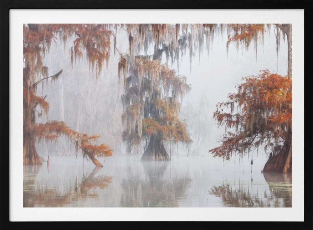 Mysty Bayou | Poster