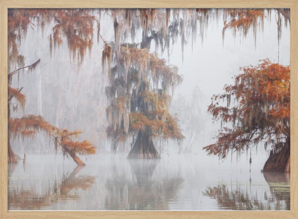 Mysty Bayou | Poster