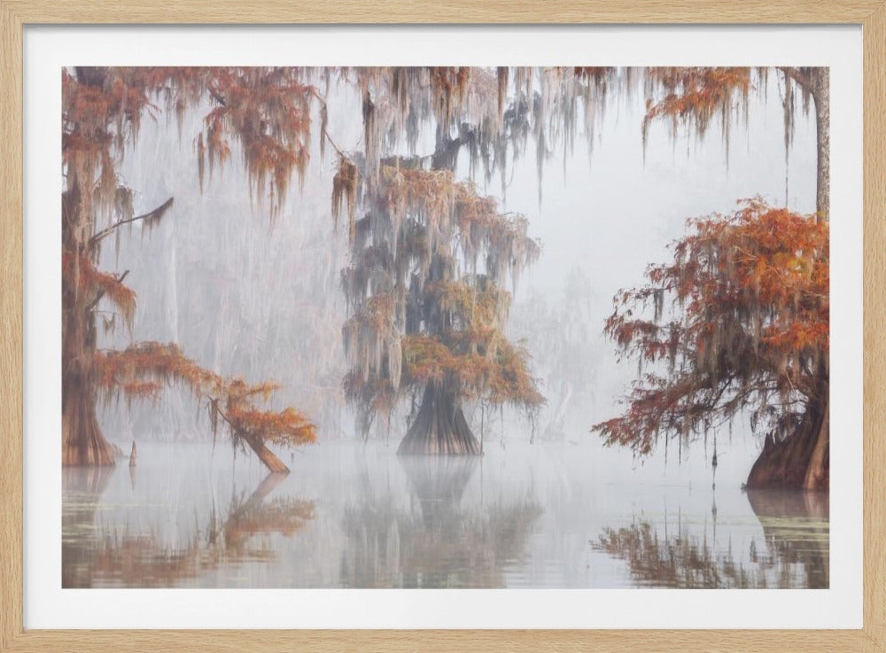 Mysty Bayou | Poster