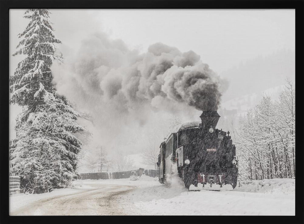 Winter story | Poster