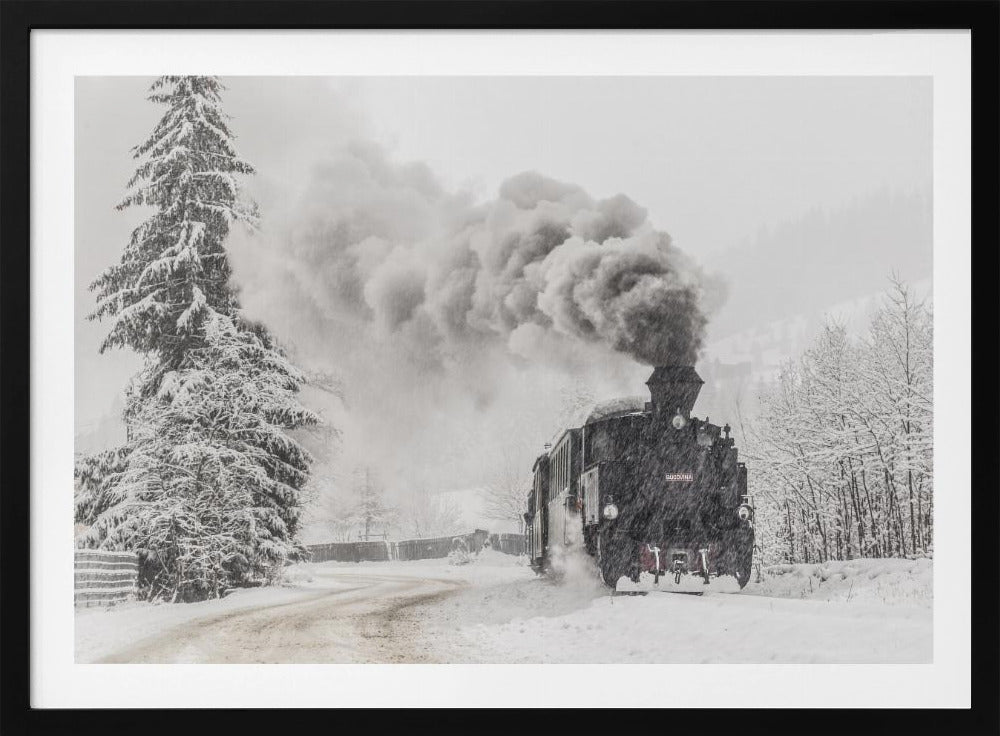 Winter story | Poster