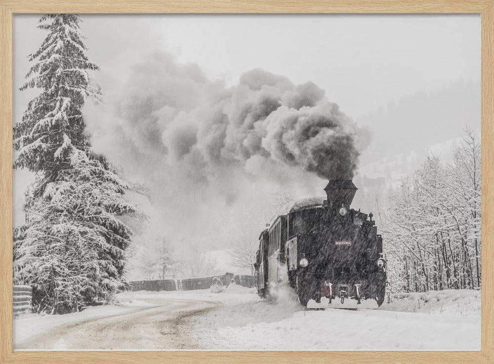 Winter story | Poster