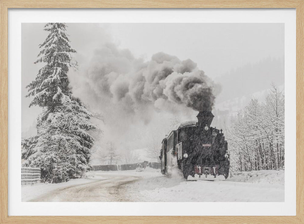 Winter story | Poster