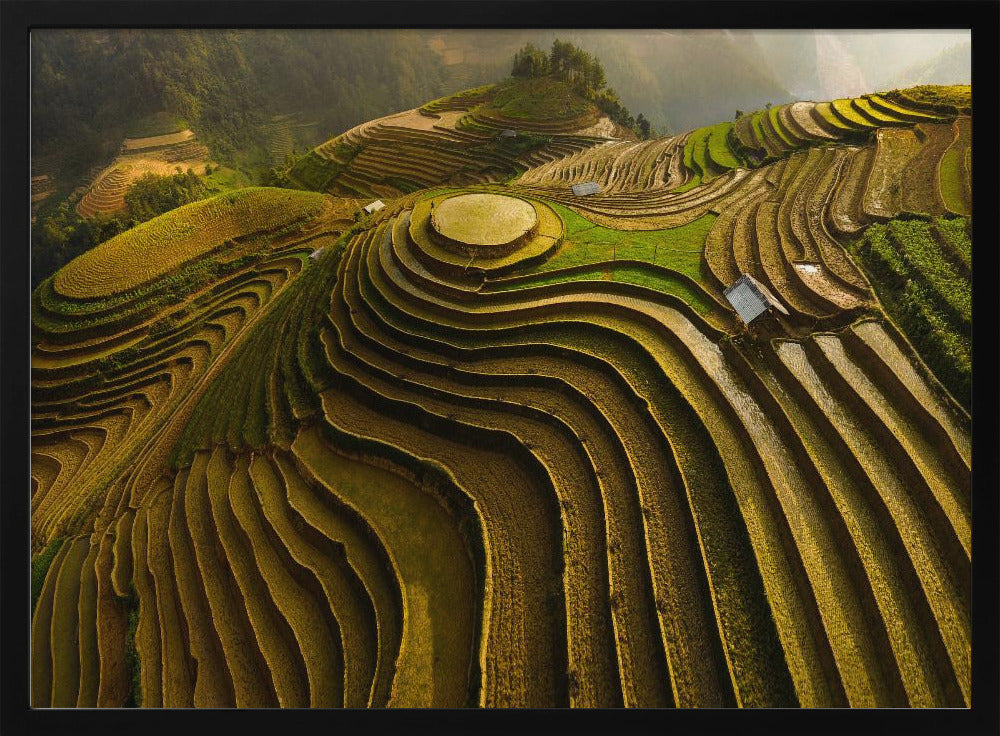 mu cang chai - vietnam | Poster