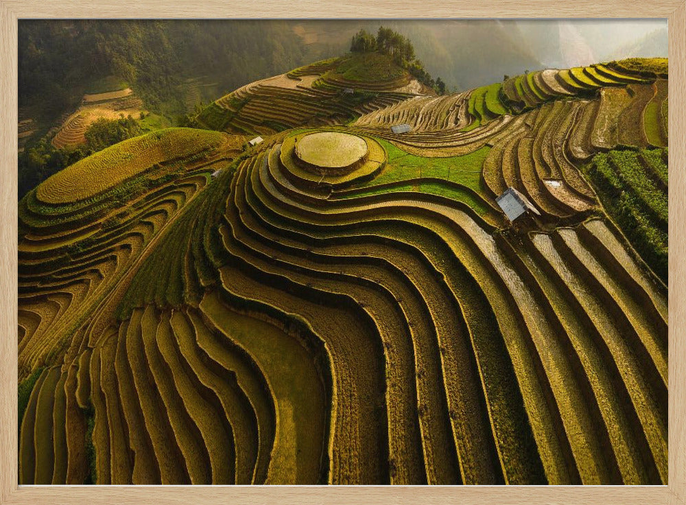 mu cang chai - vietnam | Poster