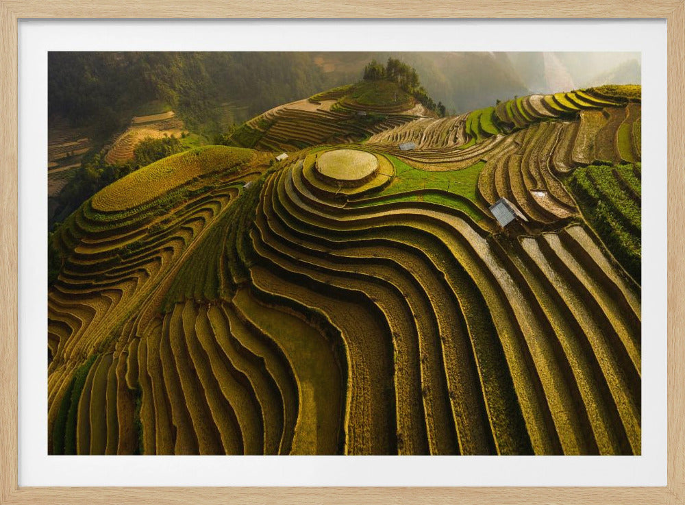 mu cang chai - vietnam | Poster