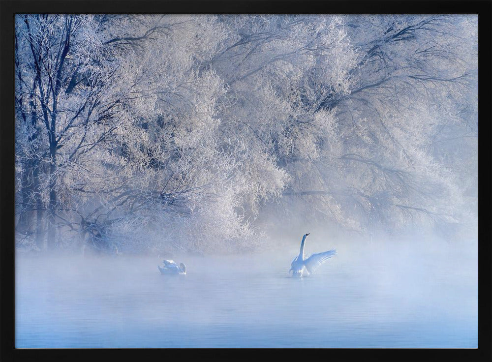 Swan Lake | Poster