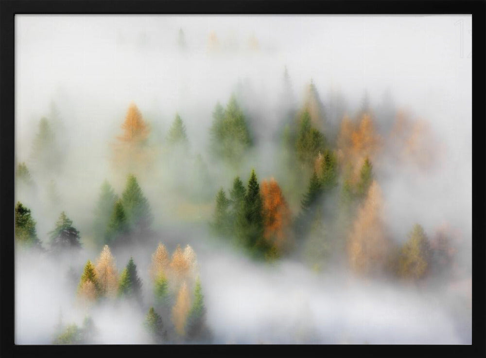 Autumn Dream | Poster