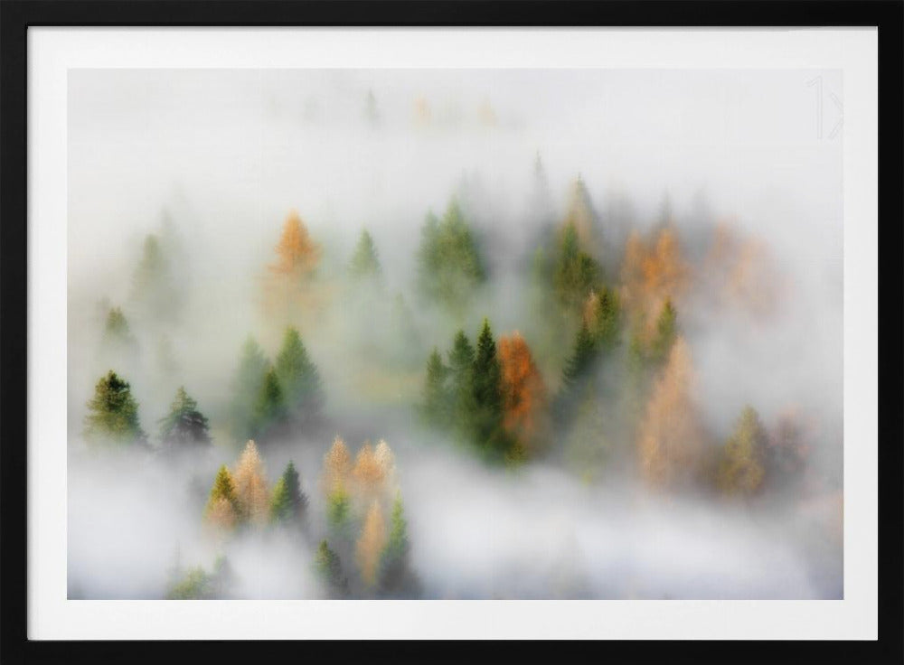 Autumn Dream | Poster