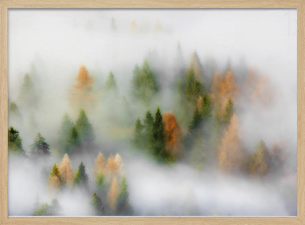 Autumn Dream | Poster