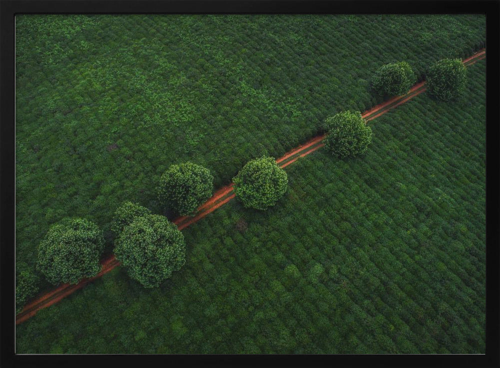 Green Pearls | Poster