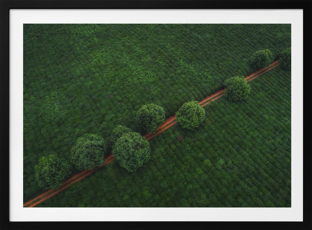 Green Pearls | Poster