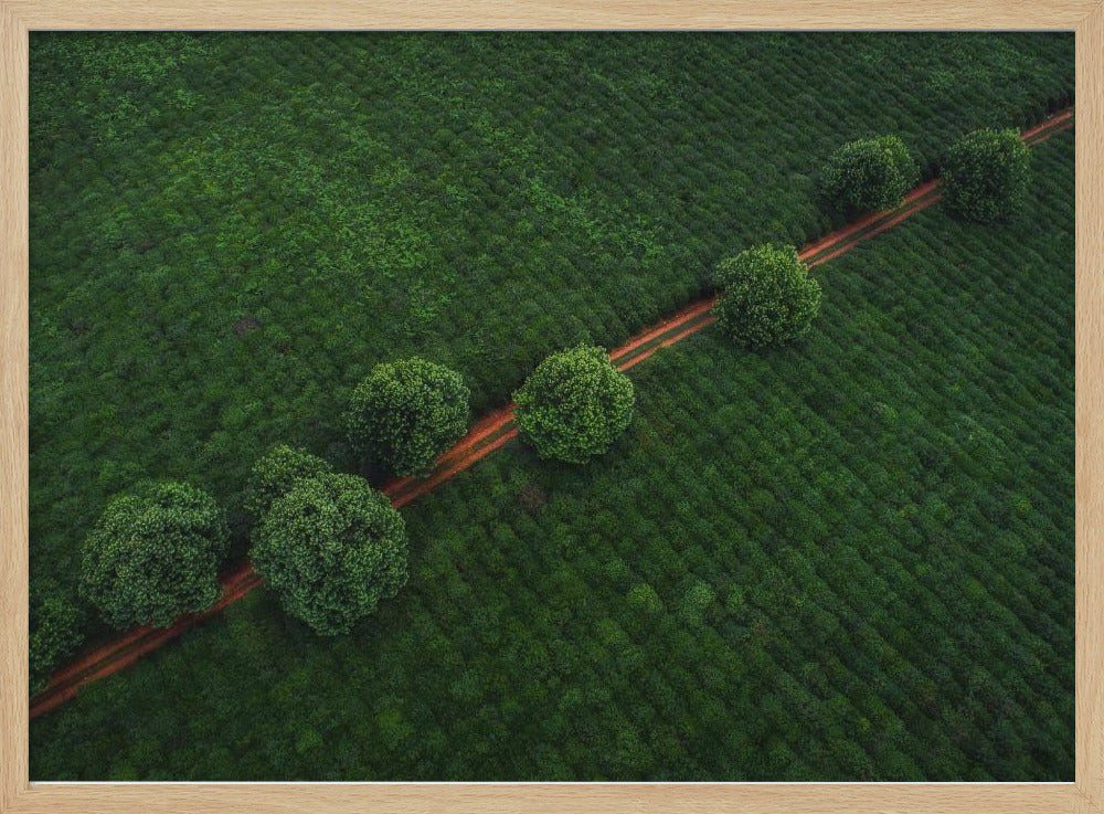 Green Pearls | Poster