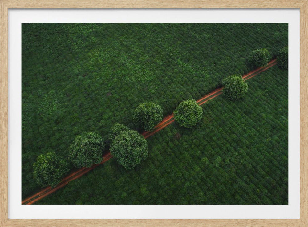 Green Pearls | Poster