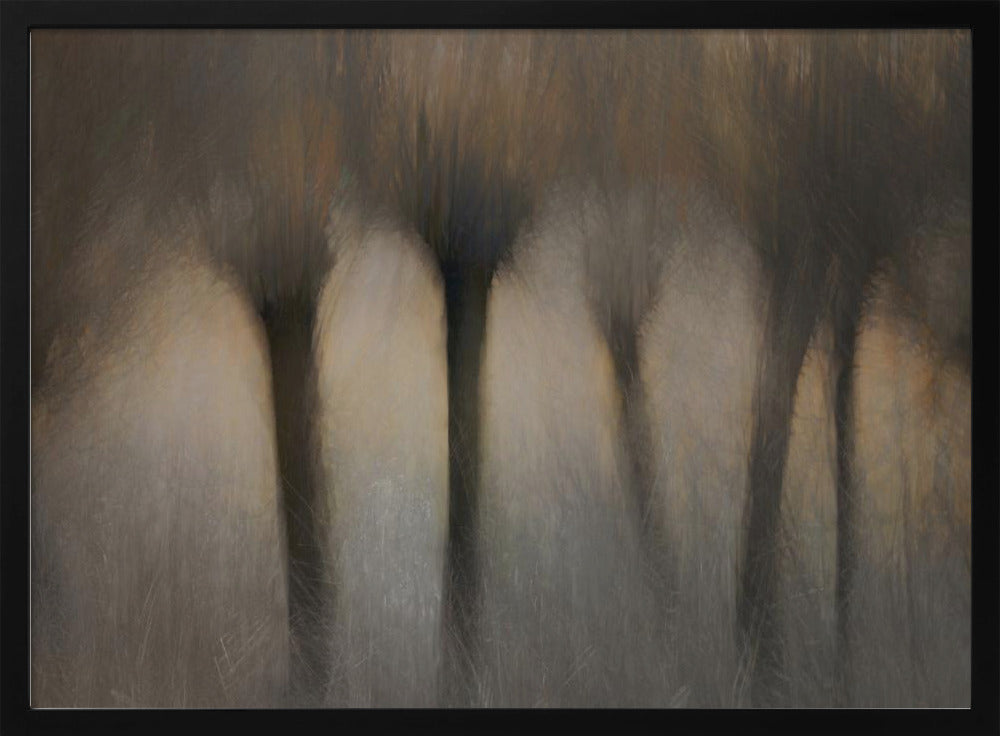 Pollard willows | Poster