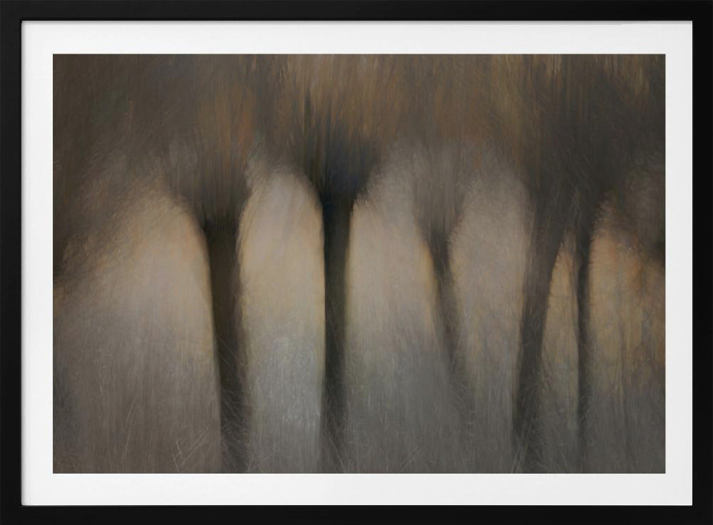 Pollard willows | Poster