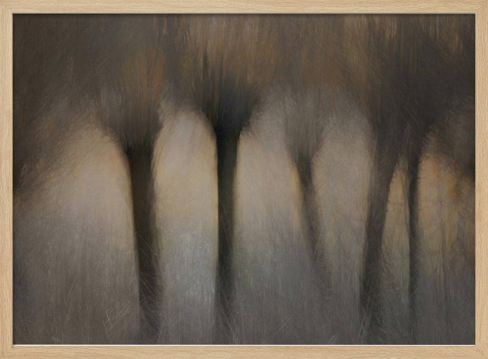 Pollard willows | Poster