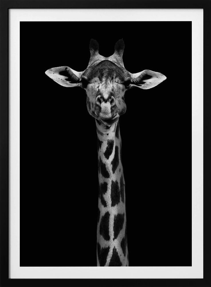 Giraffe Portrait | Poster