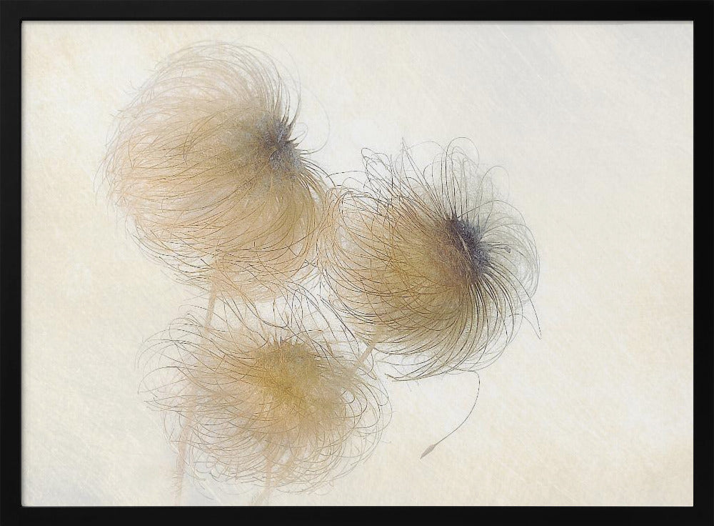 In the wind | Poster