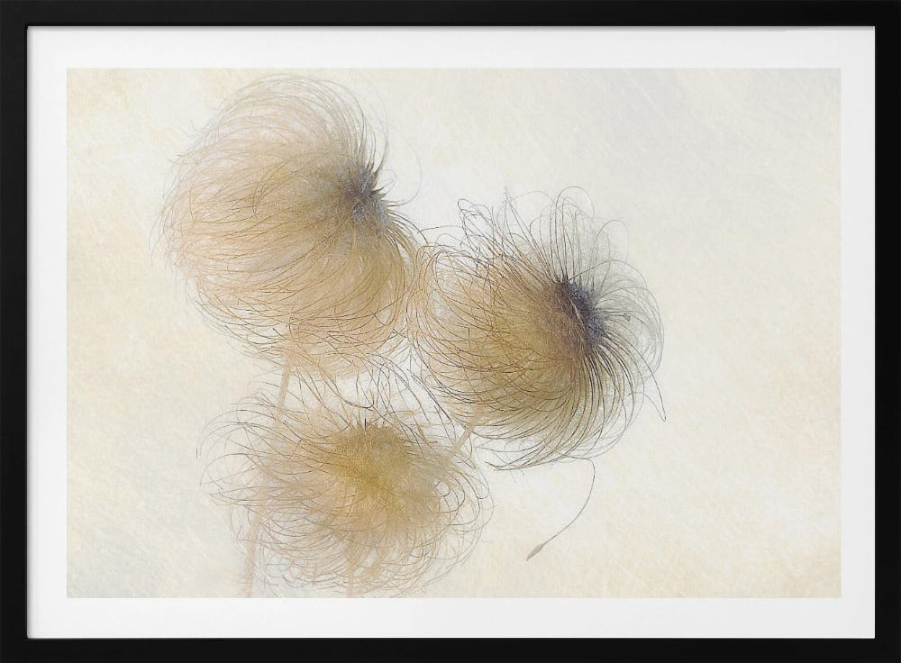 In the wind | Poster