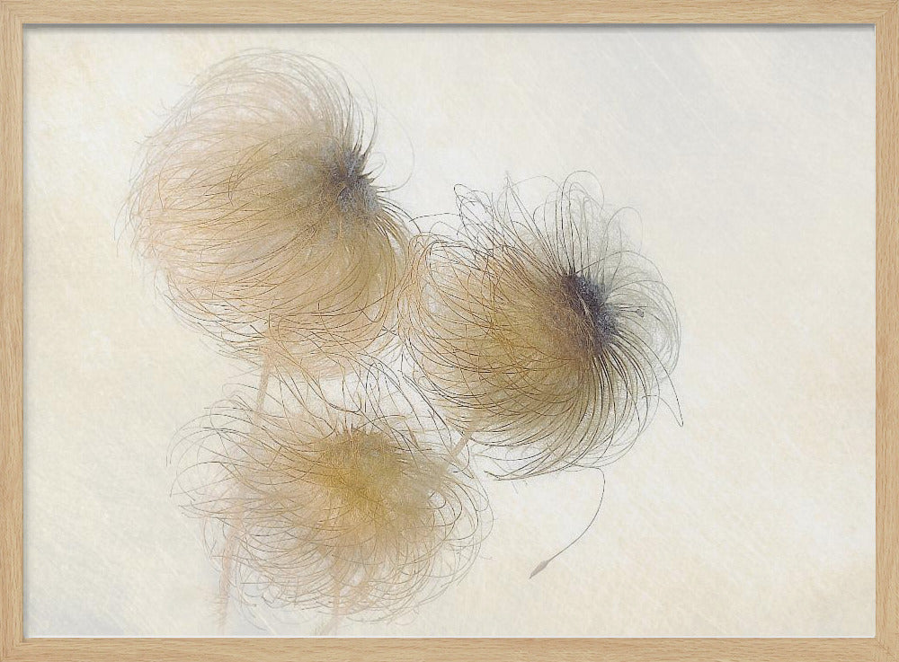 In the wind | Poster