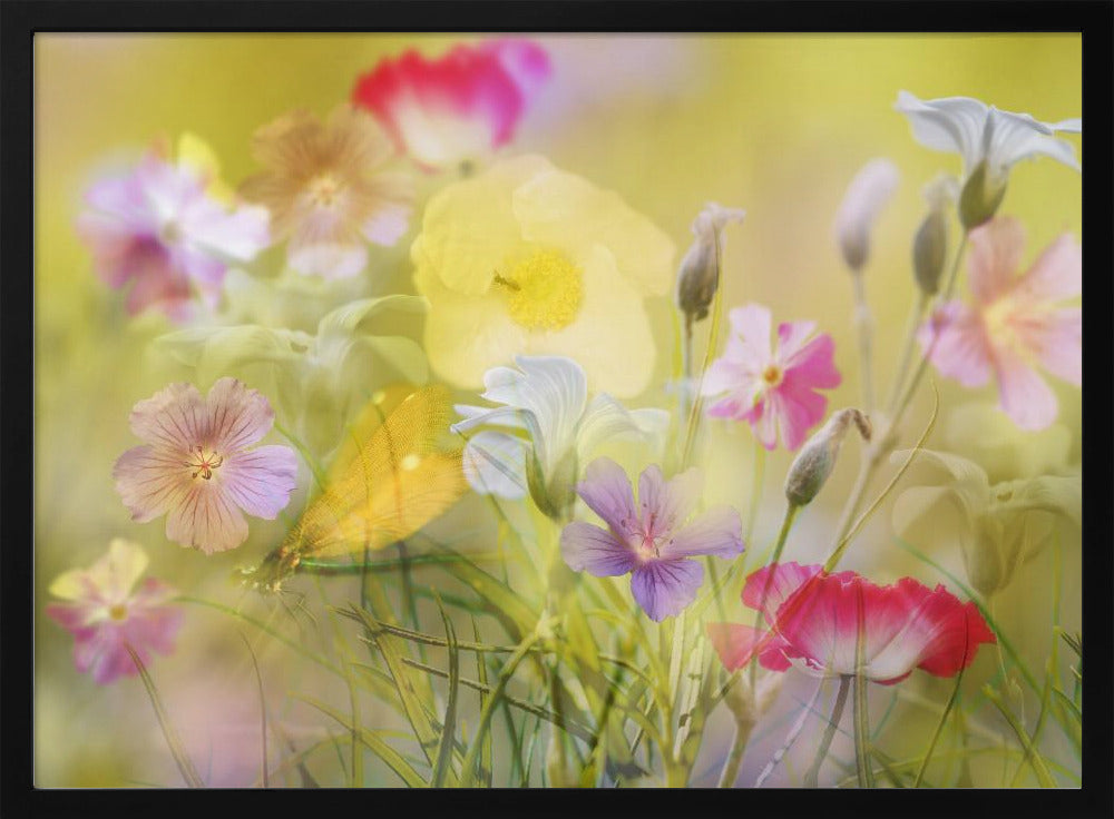 Tiny garden in a summer field | Poster