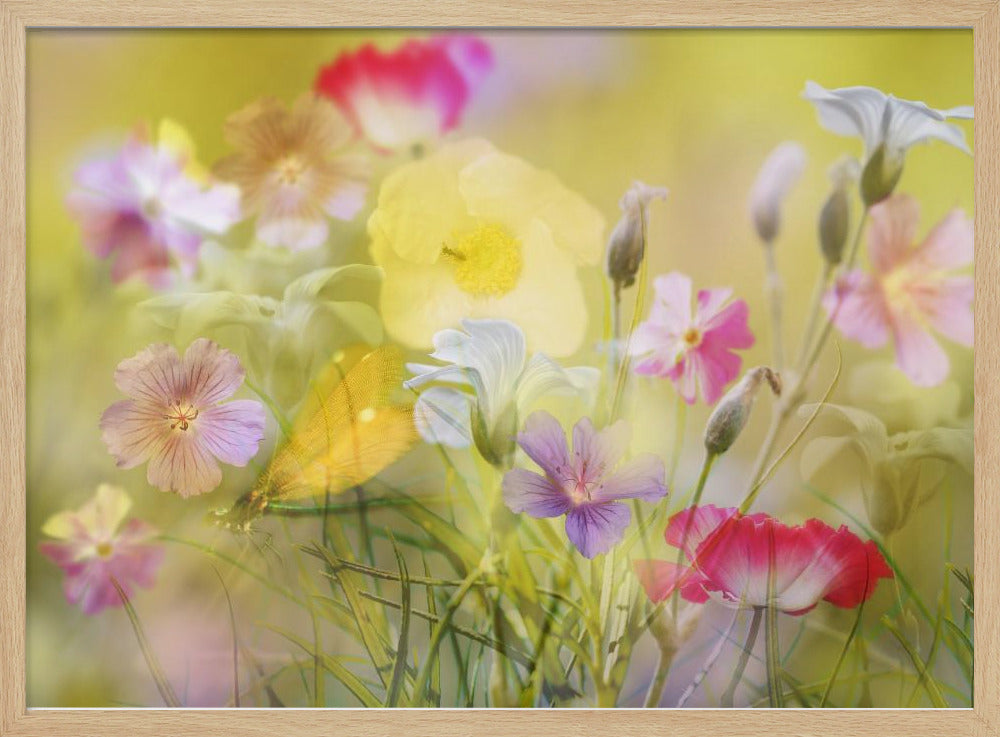 Tiny garden in a summer field | Poster