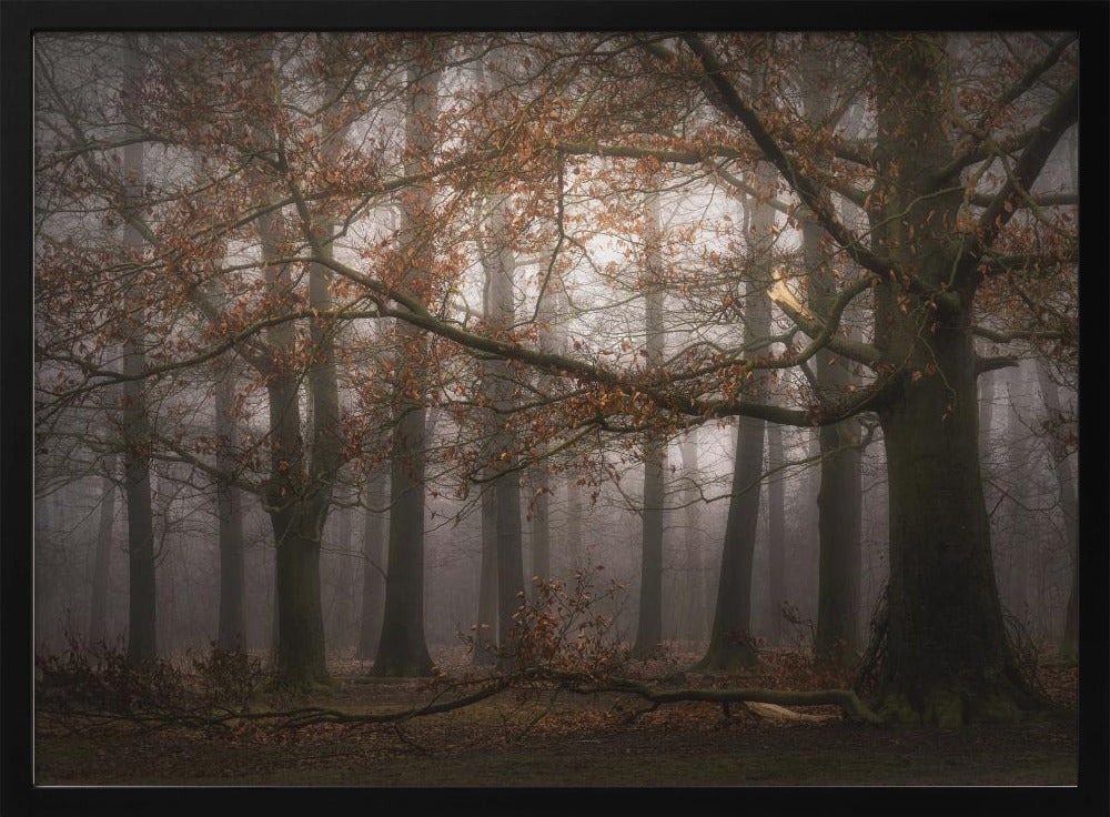 Foggy memory  of the past | Poster