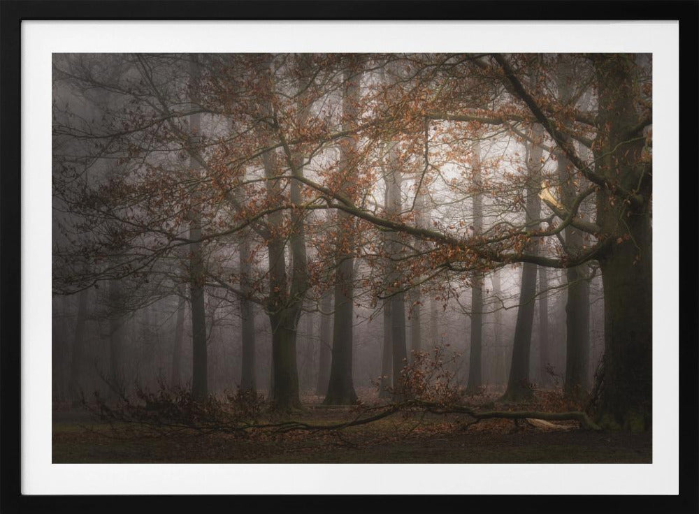 Foggy memory  of the past | Poster