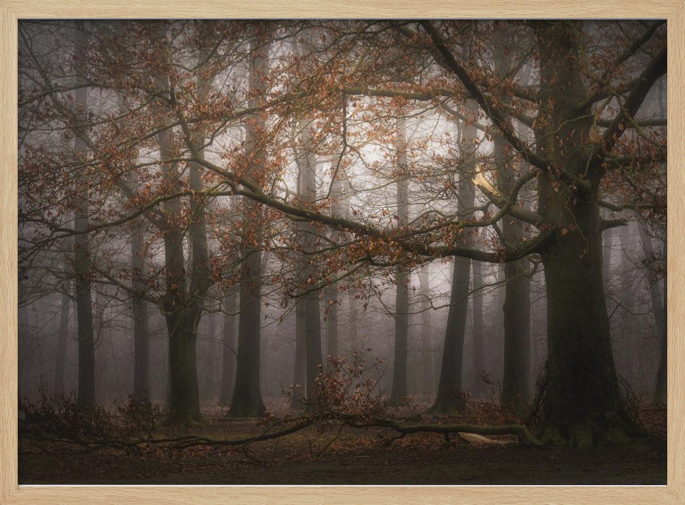 Foggy memory  of the past | Poster