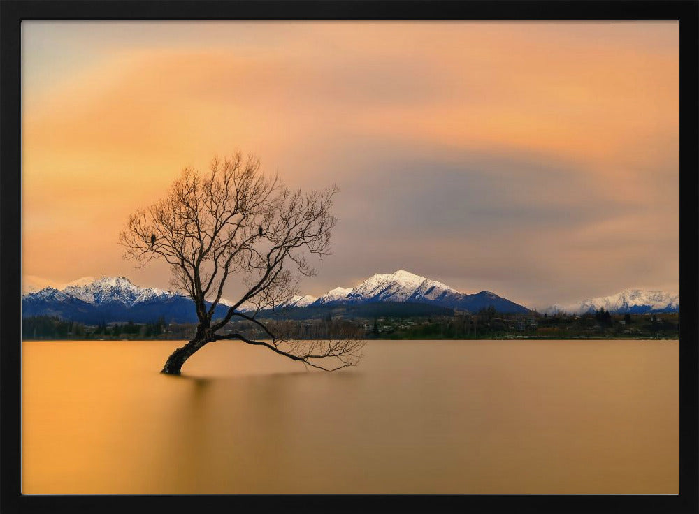 Morning glow of the Lake Wanaka | Poster