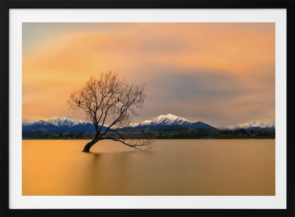 Morning glow of the Lake Wanaka | Poster