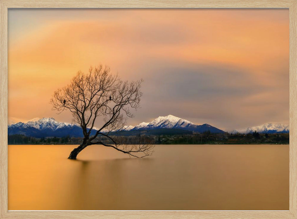 Morning glow of the Lake Wanaka | Poster