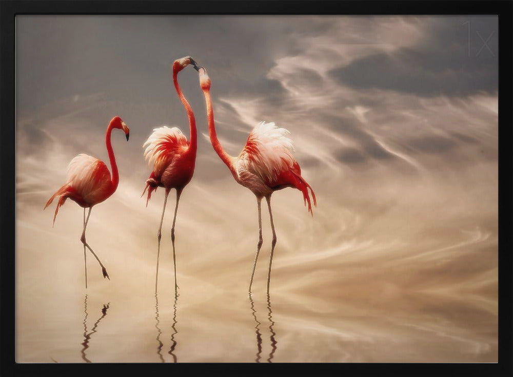 fighting ... | Poster