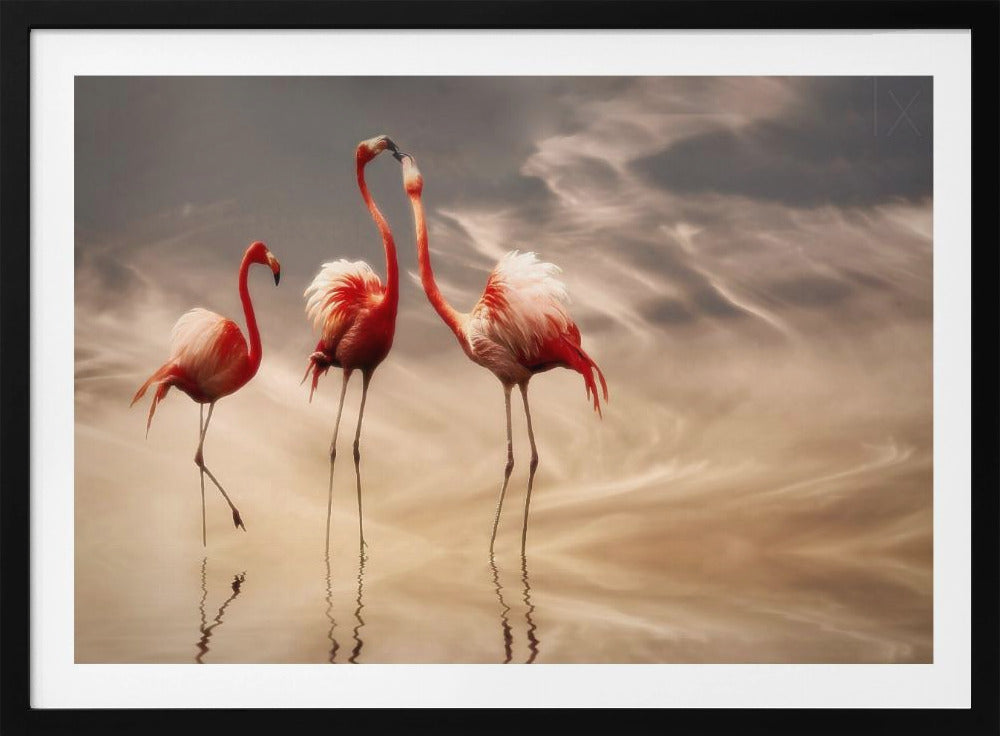 fighting ... | Poster